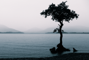 landscape images grey backgrounyjhyjyd desctopwalls search 205350 1