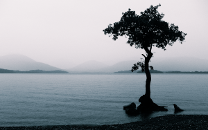 landscape images grey backgrounyjhyjyd desctopwalls search 205350